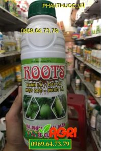 ROOTS -Bung Rễ Cực Mạnh – Mập Đọt Dày Lá – Hạ Phèn Giải Mặn