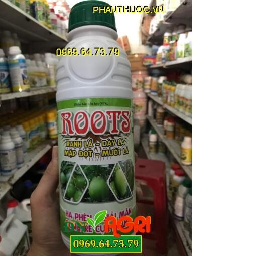 ROOTS -Bung Rễ Cực Mạnh – Mập Đọt Dày Lá – Hạ Phèn Giải Mặn