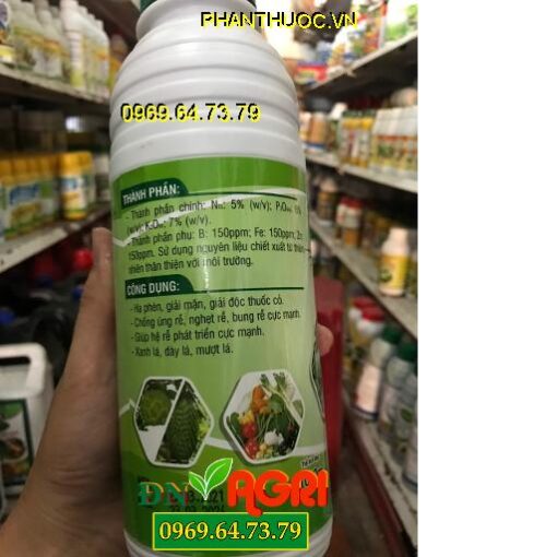 ROOTS -Bung Rễ Cực Mạnh – Mập Đọt Dày Lá – Hạ Phèn Giải Mặn