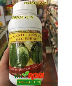 DA XANH LỚN TRÁI – SẦU RIÊNG – Giúp Trái Lớn Nhanh – Dày Cơm