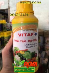 VITAF-B Giúp Tăng Bông Lớn Trái -Mướt Trái -Hạn Chế Thối Trái