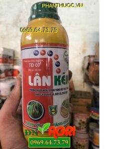 LÂN KẼM – TĐ07 – Kéo Đọt Non Cực Mạnh – Lá Xanh – Kích Ra Rễ Cực Nhanh