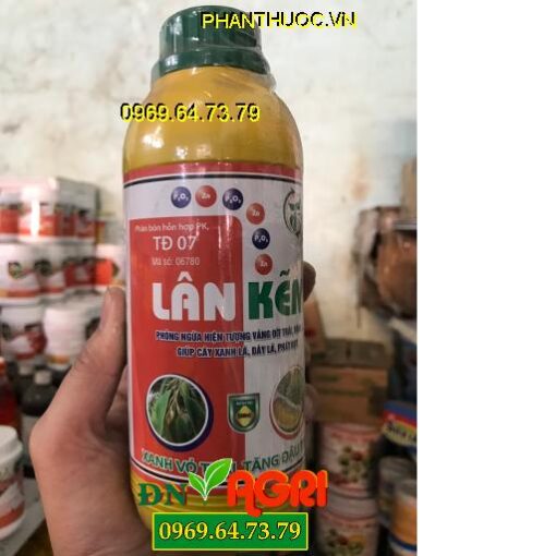 LÂN KẼM – TĐ07 – Kéo Đọt Non Cực Mạnh – Lá Xanh – Kích Ra Rễ Cực Nhanh