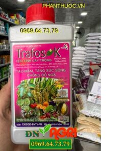 TRAFOS K- Tạo Mầm, Tăng Sức Sống, Chống Đỗ Ngã