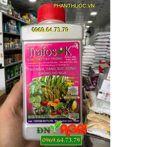 TRAFOS K- Tạo Mầm, Tăng Sức Sống, Chống Đỗ Ngã