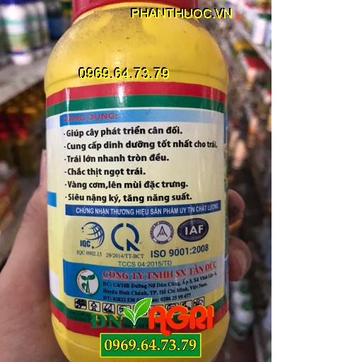 TĐ06 – DƯỠNG TRÁI TRÒN TRÁI -Cây Phát Triển Cân Đối – Vàng Cơm Lên Mùi