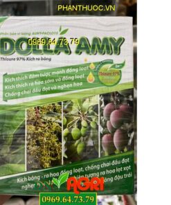 DOLLA AMY THIOURE 97%: Kích Ra Hoa Cực Sớm, Đồng Loạt, Chống Chai Đầu Đọt, Nghẹn Hoa