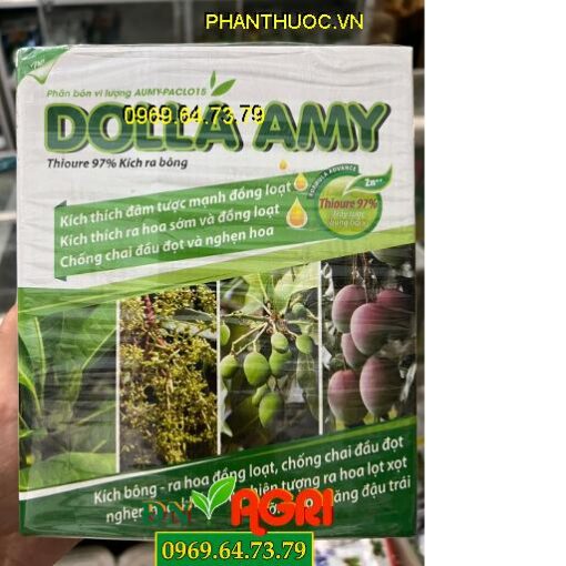 DOLLA AMY THIOURE 97%: Kích Ra Hoa Cực Sớm, Đồng Loạt, Chống Chai Đầu Đọt, Nghẹn Hoa