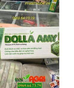 DOLLA AMY THIOURE 97%: Kích Ra Hoa Cực Sớm, Đồng Loạt, Chống Chai Đầu Đọt, Nghẹn Hoa