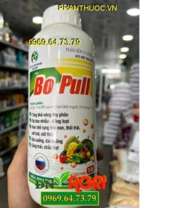 BO PULL ATC ĐẸP QUẢ 999- Tăng Tỷ Lệ Mầm Hoa, Siêu Đậu Trái