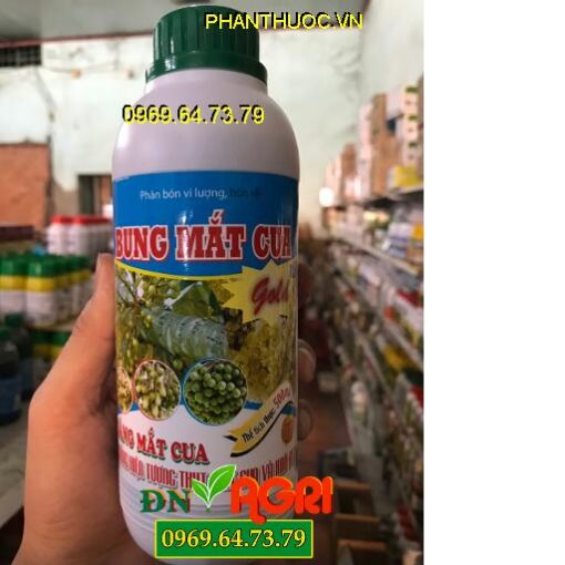 BUNG MẮT CUA -GOLD -Giúp Sáng Mắt Cua-Chống Thụt Mắt Cua-Khô Đen