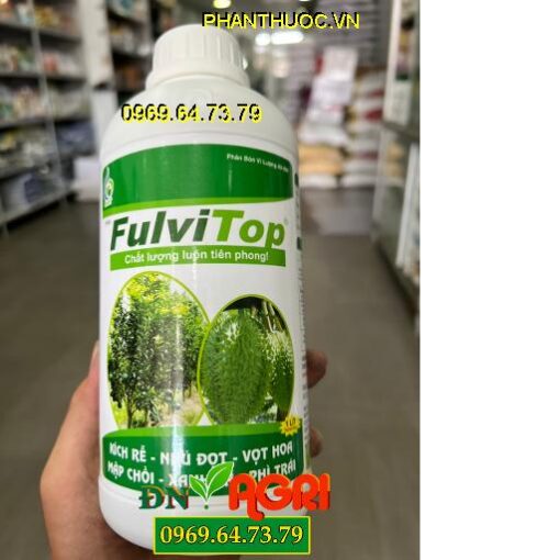 FULVI TOP- Kích Rễ, Xanh Lá, Phì Trái