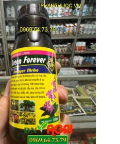 PHÂN BÓN VI LƯỢNG GREEN FOREVER – TĂNG ĐỀ KHÁNG, CHỐNG SỐC CHO CÂY TRỒNG