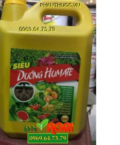 SIÊU DƯỠNG HUMATE – Kích Ra Rễ Mạnh- Đâm Chồi Nhanh- Bộ Lá Xanh