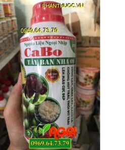 PHÂN BÓN VI LƯỢNG LAKTHAI A43 –CABO-Xử Lý Hoa Trái Mùa, Phát Triễn Rể, Hạ phèn