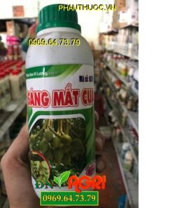 SÁNG MẮT CUA – Kéo Bông Mạnh Và Đồng Loạt -Tăng Thụ Phấn Và Đậu Trái