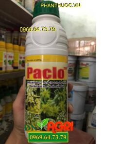 PACLO -Phân Hóa Mầm Hoa -Ra Hoa Nhiều -Ức Chế Sinh Trưởng Đọt Non