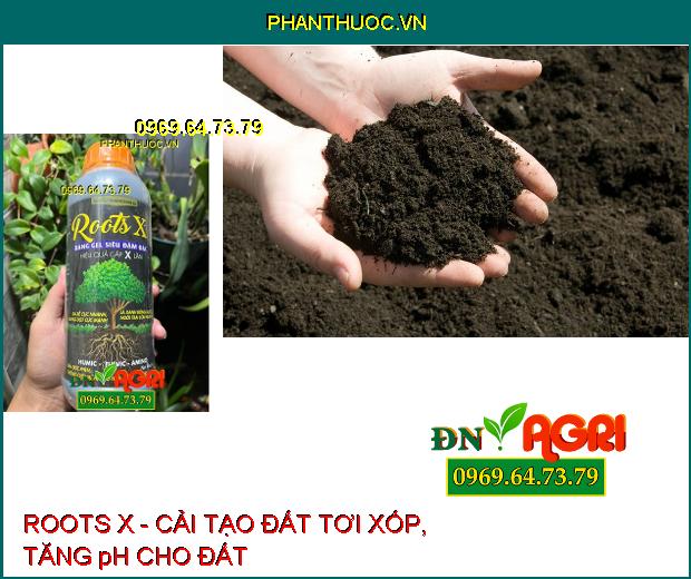 ROOTS X: Bổ Sung Humic- Fulvic- Amino- Siêu Ra Rễ, Nuôi Trái, Lớn Trái