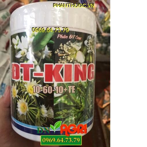 ĐT-KING – 10-60-10+TE – Chuyên Tạo Mầm Hoa – Ra Hoa Đều Đồng Loạt