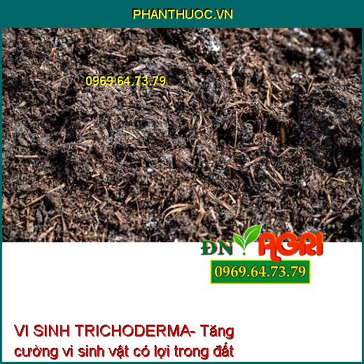 VI SINH TRICHODERMA- Cải Tạo Đất, Ngừa Tuyến Trùng, Giảm Ngộ Độc Khi Sử Dụng Phân Bón Hóa Học