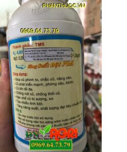 SIÊU TO CỦ ĐẶC BIỆT – Củ Phình To – Nhiều Tinh Bột – Chắc Củ