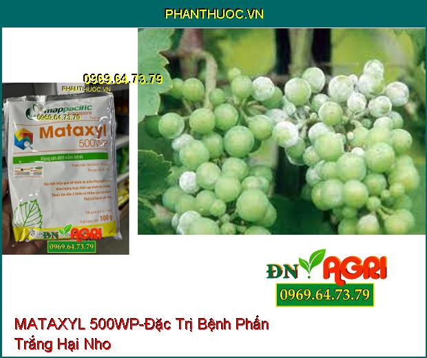 THUỐC TRỪ BỆNH MATAXYL 500WP- Thuốc Trừ Nấm, Lưu Dẫn Mạnh, Trị Cháy lá, Rỉ Sắt, Thán Thư