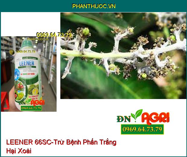 THUỐC TRỪ BỆNH LEENER 66SC – Trừ Bệnh Khô Vằn, Lem Lép, Rỉ Sắt, Đốm Vòng, Phấn Trắng