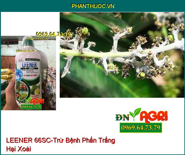 THUỐC TRỪ BỆNH LEENER 66SC –Tác Dụng Kép Sạch Bệnh, Dưỡng Cây, Màu Sáng Đẹp