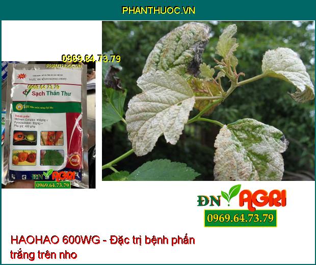 HAOHAO 600WG- Sạch Thán Thư, Phấn Trắng, Đạo Ôn, Sương Mai, Rỉ Sắt