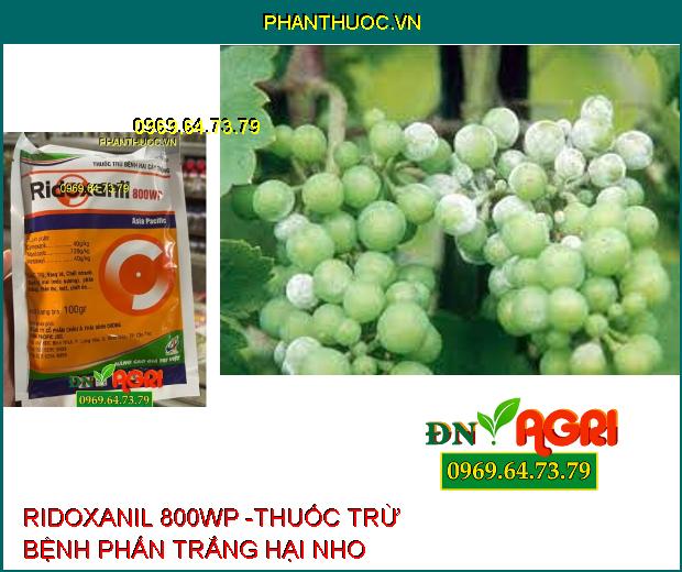 RIDOXANIL 800WP -THUỐC TRỪ BỆNH HẠI CÂY TRỒNG 100GR