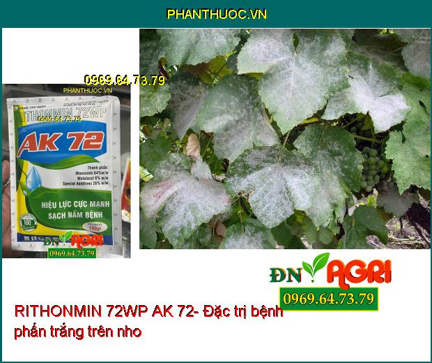 RITHONMIN 72WP AK 72- Đặc Trị Rỉ Sắt, Thán Thư, Mốc Sương, Phấn Trắng, ...