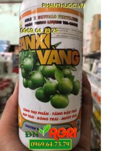 CANXI VÀNG – Giúp Trái To Sáng Bóng – Giảm Nứt Trái Da Lu