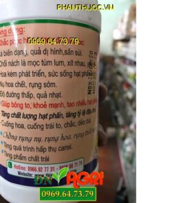 SIÊU BO – Tăng Tỉ Lệ Đậu Trái – Cuống Trái To – Chống Rụng Nụ