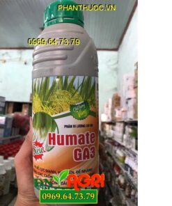 HUMATE GA3 – Ra Rễ Cực Nhanh -To Chắc Khỏe -Dưỡng Đòng Bông Dài