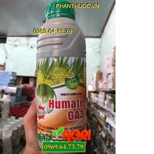 HUMATE GA3 – Ra Rễ Cực Nhanh -To Chắc Khỏe -Dưỡng Đòng Bông Dài