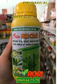 SIÊU BẬT CHỒI – Đâm Tược Mạnh – Ra Đọt Nhanh – Xanh Lá Rễ Khỏe