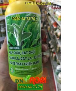 SIÊU BẬT CHỒI – Đâm Tược Mạnh – Ra Đọt Nhanh – Xanh Lá Rễ Khỏe