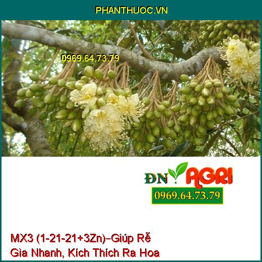 PHÂN BÓN LÁ HỖN HỢP NPK MX3 (1-21-21+3Zn) –Giúp Rễ Gìa Nhanh, Kích Thích Ra Hoa