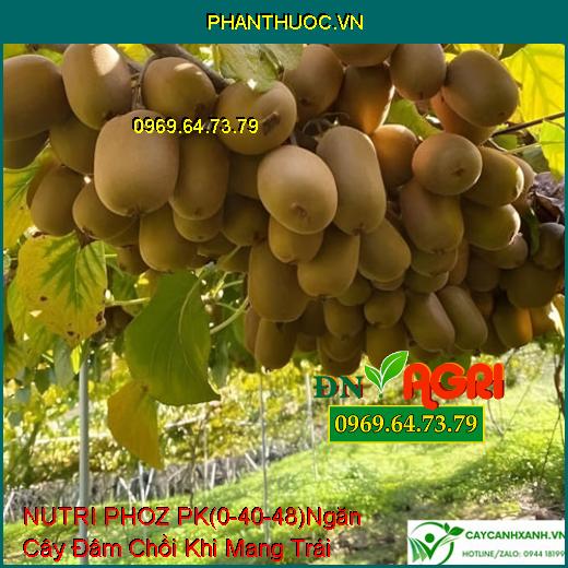 PHÂN BÓN LÁ HỖN HỢP NUTRI PHOZ PK (0-40-48) Ngăn Chặn Cây Đâm Chồi Khi Mang Trái