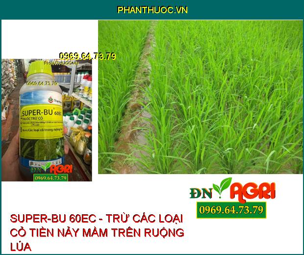 THUỐC TRỪ CỎ SUPER-BU 60EC - Trừ Được Nhiều Loại Cỏ Cho Lúa Và Cây Trồng