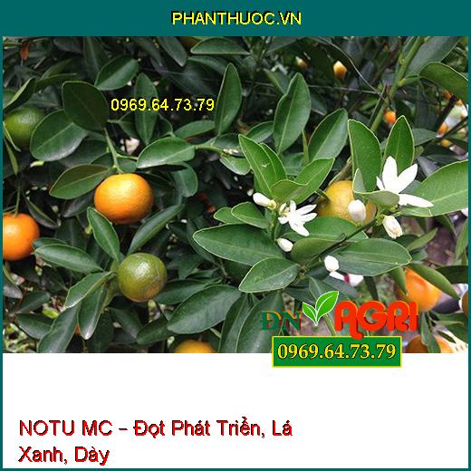 PHÂN BÓN HỖN HỢP NPK BỔ SUNG VI LƯỢNG NOTU MC – Đọt Phát Triển, Lá Xanh, Dày