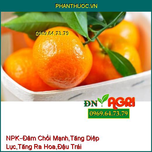 PHÂN BÓN LÁ HỖN HỢP NPK –Đâm Chồi Mạnh,Gia Tăng Diệp Lục , Tăng Ra Hoa, Đậu Trái