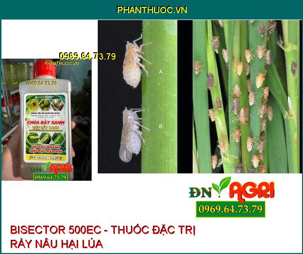 BISECTOR 500EC - THUỐC TRỪ SÂU, ĐẶC TRỊ RẦY XANH, BỌ TRĨ, RẦY NÂU, BỌ XÍT