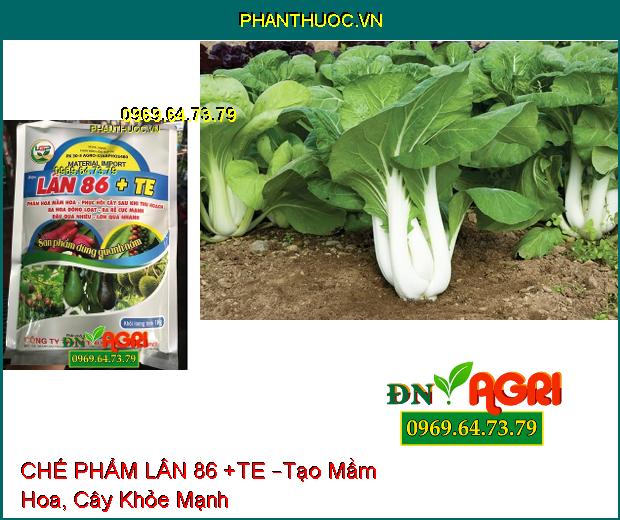 PHÂN BÓN HỖN HỢP CHẾ PHẨM LÂN 86 +TE –Kích Rễ Phát Triển, Giải Độc Hạ Phèn, Tạo Mầm Hoa