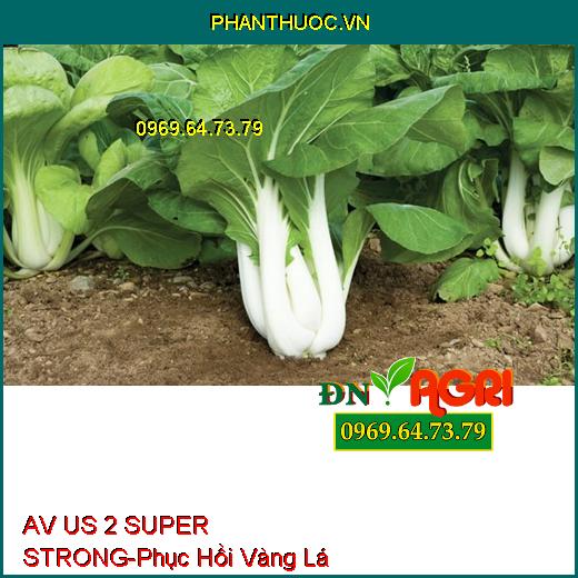 AV US 2 SUPER STRONG - Phục Hồi Vàng Lá, Kích Ra Hoa, Lớn Trái, Đẻ Nhánh