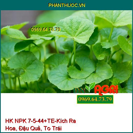 PHÂN BÓN HỢP TRÍ HK NPK 7-5-44+TE-Kích Ra Hoa, Đậu Quả, To Trái