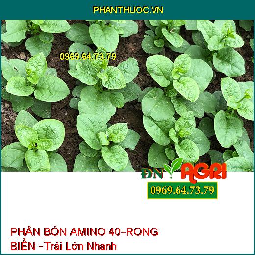 PHÂN BÓN NPK BỔ SUNG VI LƯỢNG NOTUGROW– AMINO 40 – RONG BIỂN –Trái Lớn Nhanh