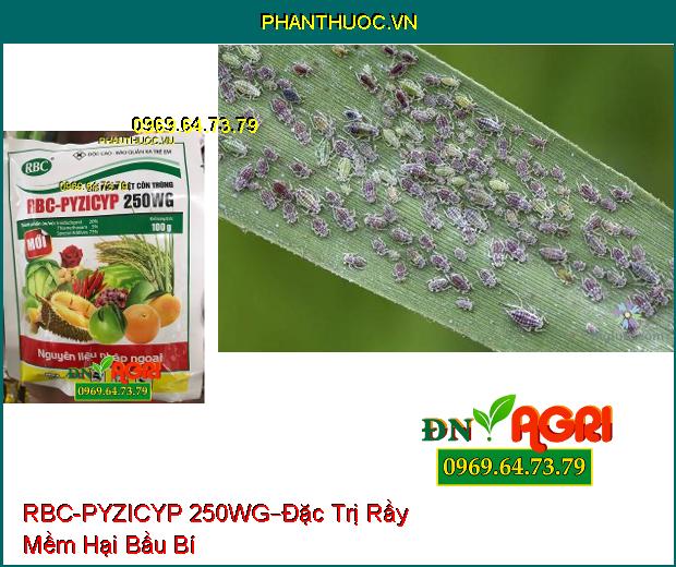 CHẾ PHẨM DIỆT CÔN TRÙNG RBC-PYZICYP 250WG –Đặc trị Các Loại Sâu, Các Loài Hút Chích