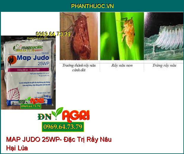 THUỐC TRỪ SÂU MAP JUDO 25WP- Trị Rệp Sáp, Rầy Nâu