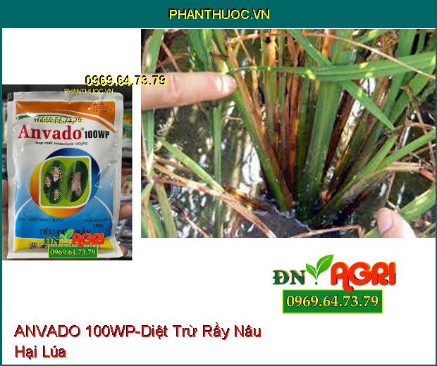 THUỐC TRỪ SÂU RẦY ANVADO 100WP – Tiêu Diệt Rầy Nâu, Trừ Sâu